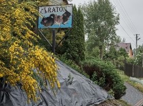 RATON tšintšilja farm Krakow Radwanowice